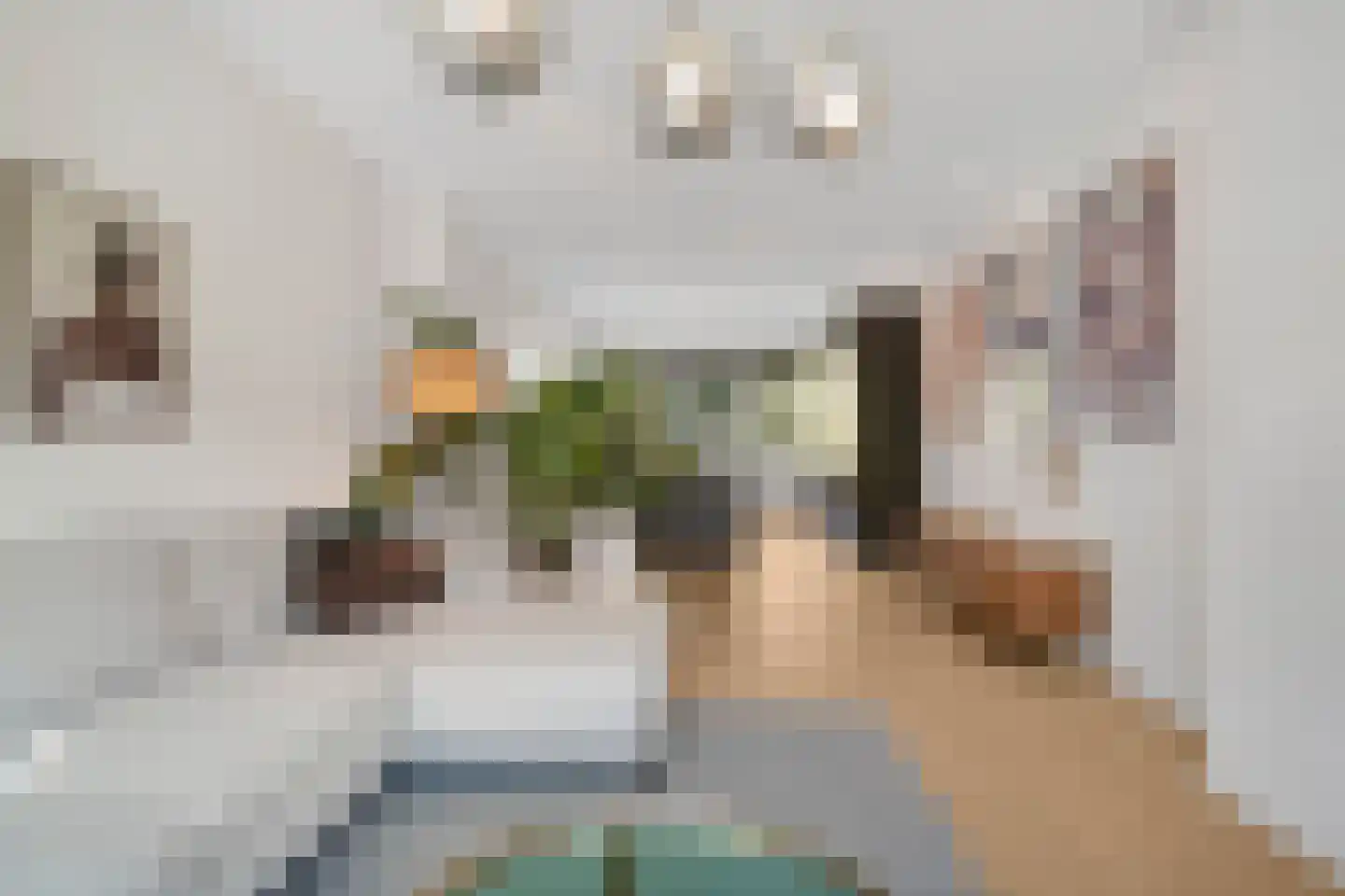 Nolensstraat 11 B 02 Rotterdam thumbnail 7