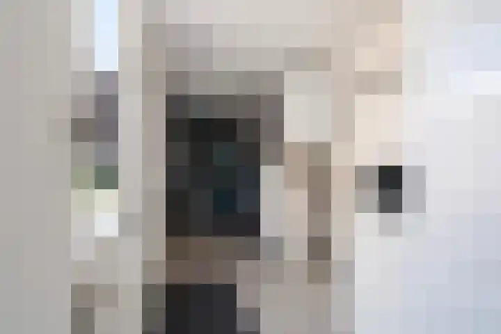 Nolensstraat 12 Sneek thumbnail 18