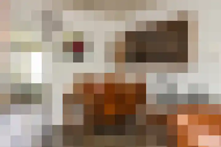 Nolensstraat 13 Oss thumbnail 13