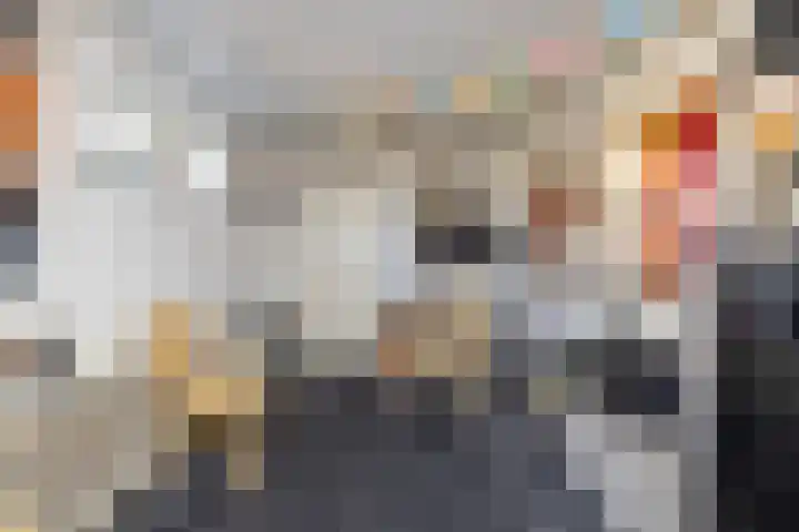 Nolensstraat 13 Oss thumbnail 22
