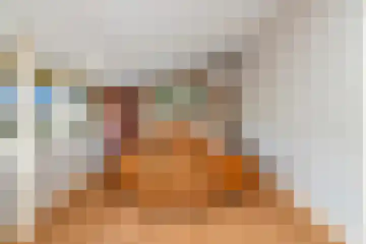 Nolensstraat 13 Oss thumbnail 34