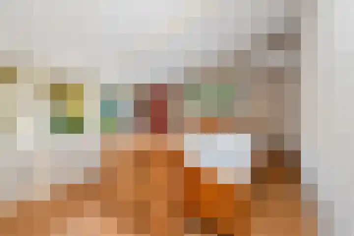 Nolensstraat 13 Oss thumbnail 35