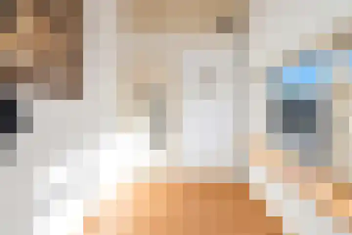 Nolensstraat 13 Oss thumbnail 41
