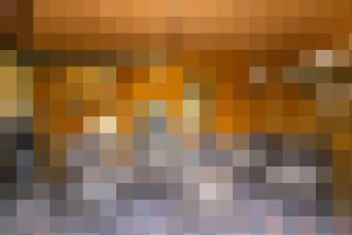 Nolensstraat 13 Oss thumbnail 47