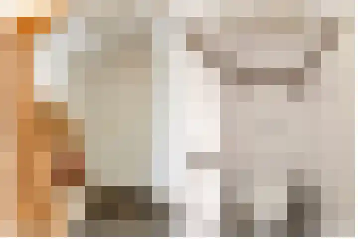 Nolensstraat 13 Oss thumbnail 6