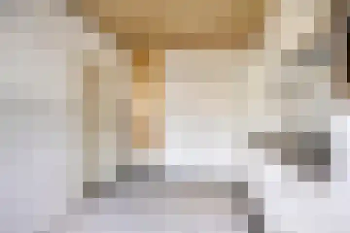 Nolensstraat 14 Oss thumbnail 15