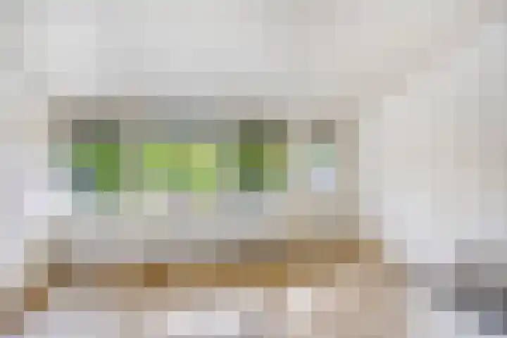 Nolensstraat 14 Oss thumbnail 17