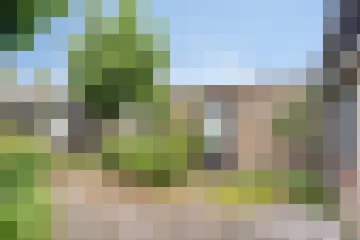 Nolensstraat 14 Oss thumbnail 30