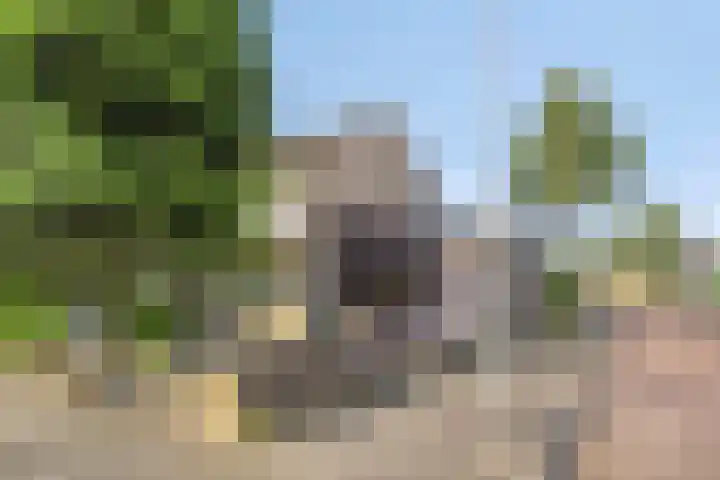 Nolensstraat 14 Oss thumbnail 33