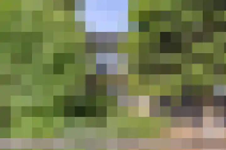 Nolensstraat 14 Oss thumbnail 4