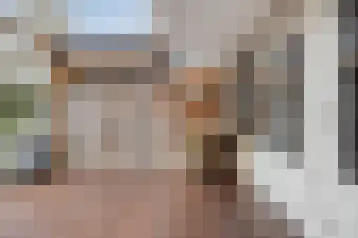 Nolensstraat 14 Oss thumbnail 7