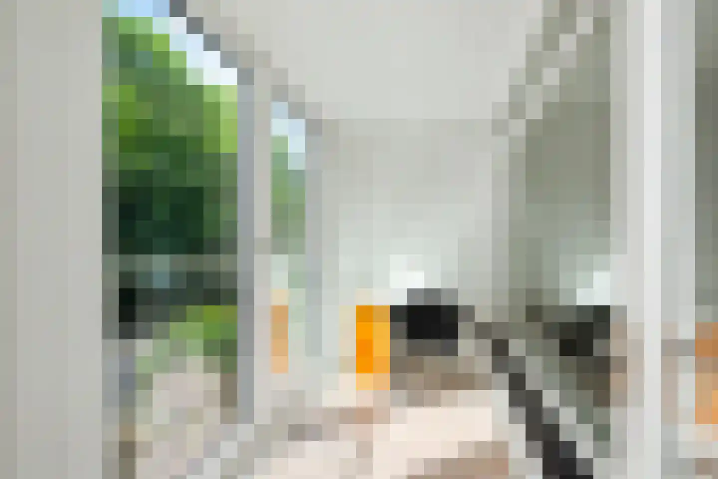 Nolensstraat 14 Wageningen thumbnail 12