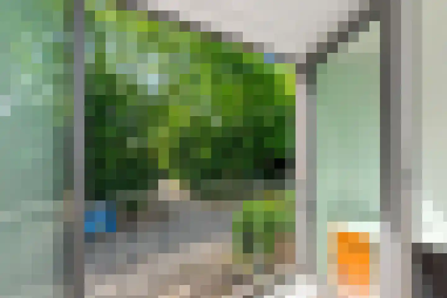 Nolensstraat 14 Wageningen thumbnail 13