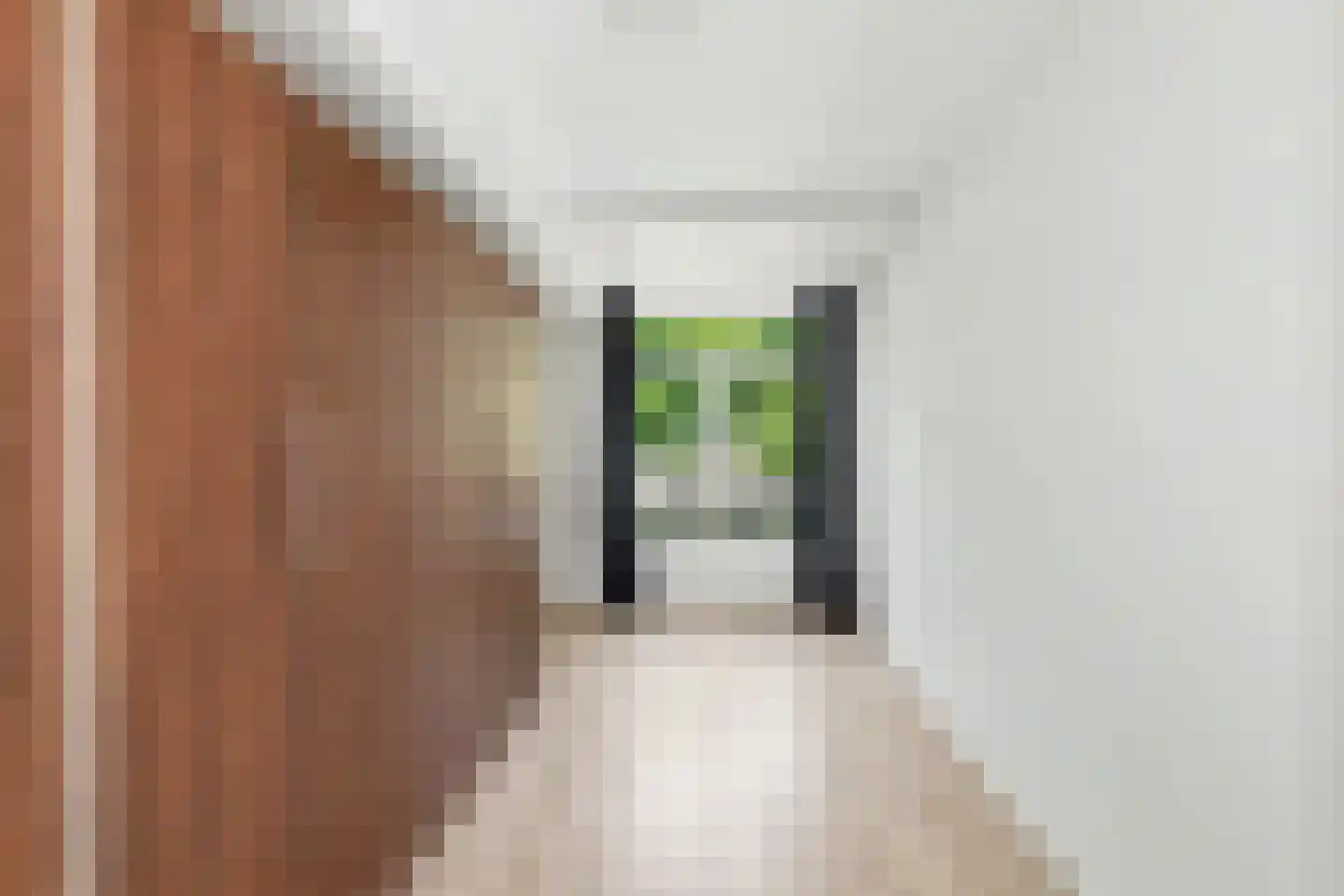 Nolensstraat 14 Wageningen thumbnail 22