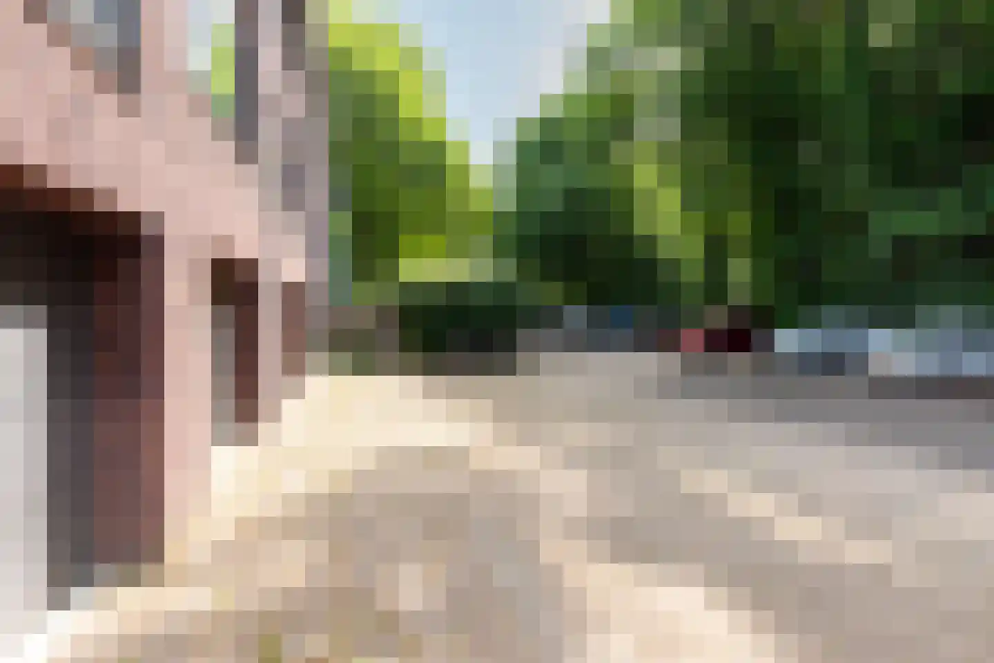 Nolensstraat 14 Wageningen thumbnail 25
