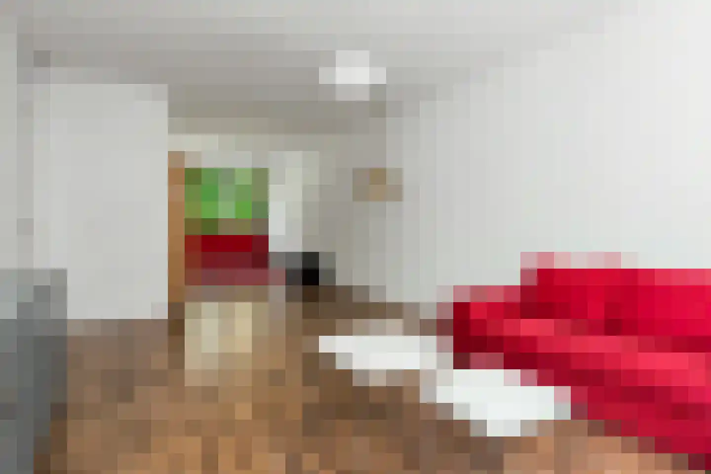 Nolensstraat 14 Wageningen thumbnail 7