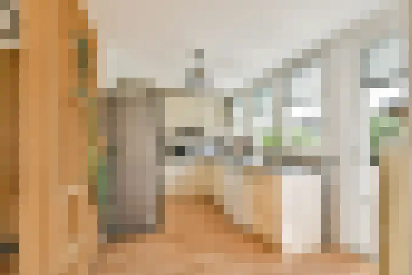 Nolensstraat 18 A 01 Rotterdam thumbnail 13