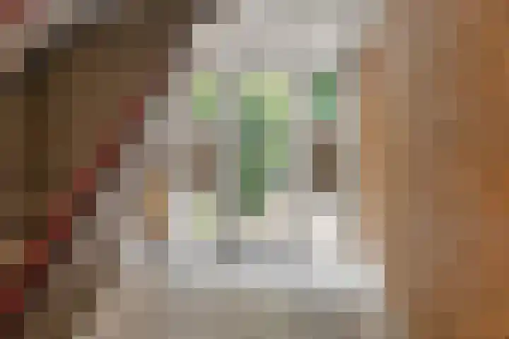Nolensstraat 2 Wageningen thumbnail 11