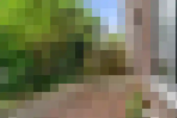 Nolensstraat 2 Wageningen thumbnail 18