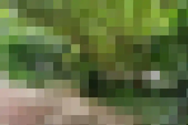 Nolensstraat 2 Wageningen thumbnail 20