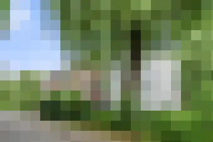 Nolensstraat 2 Wageningen thumbnail 4