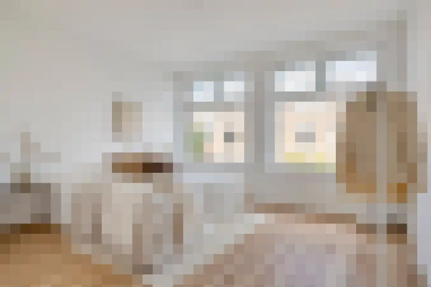 Nolensstraat 20 B 02 Rotterdam thumbnail 13