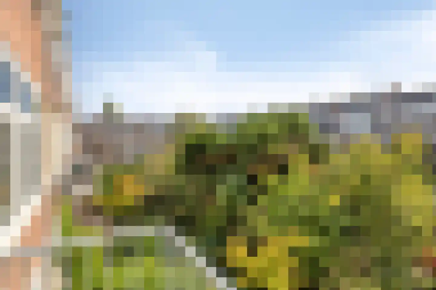 Nolensstraat 20 B 02 Rotterdam thumbnail 5