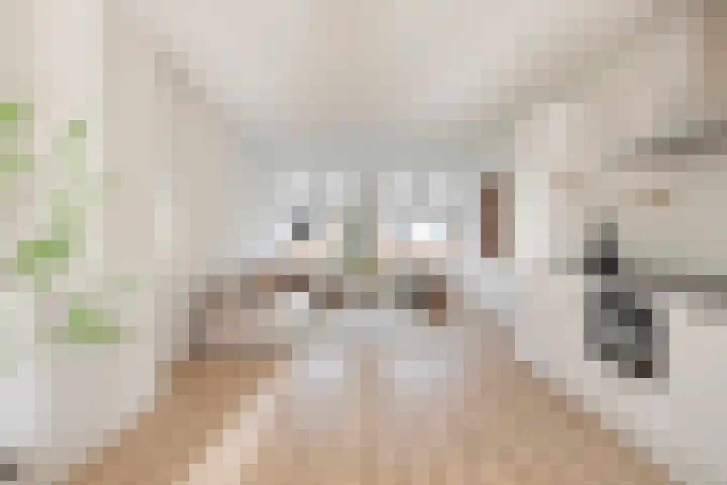Nolensstraat 20 B 02 Rotterdam thumbnail 8