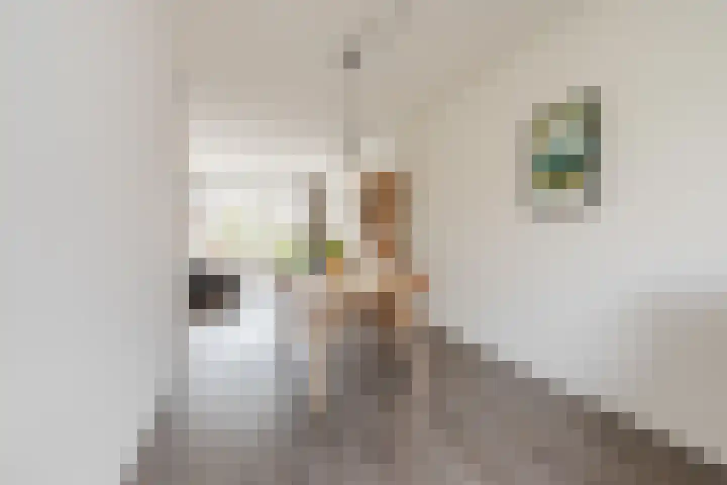 Nolensstraat 20 Wageningen thumbnail 13