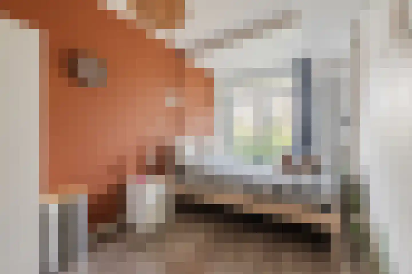 Nolensstraat 20 Wageningen thumbnail 22