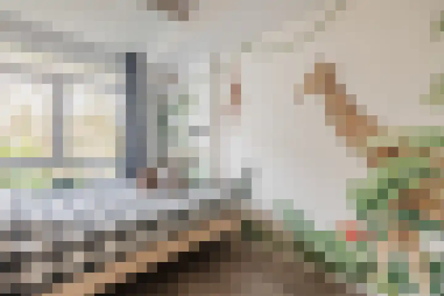 Nolensstraat 20 Wageningen thumbnail 23