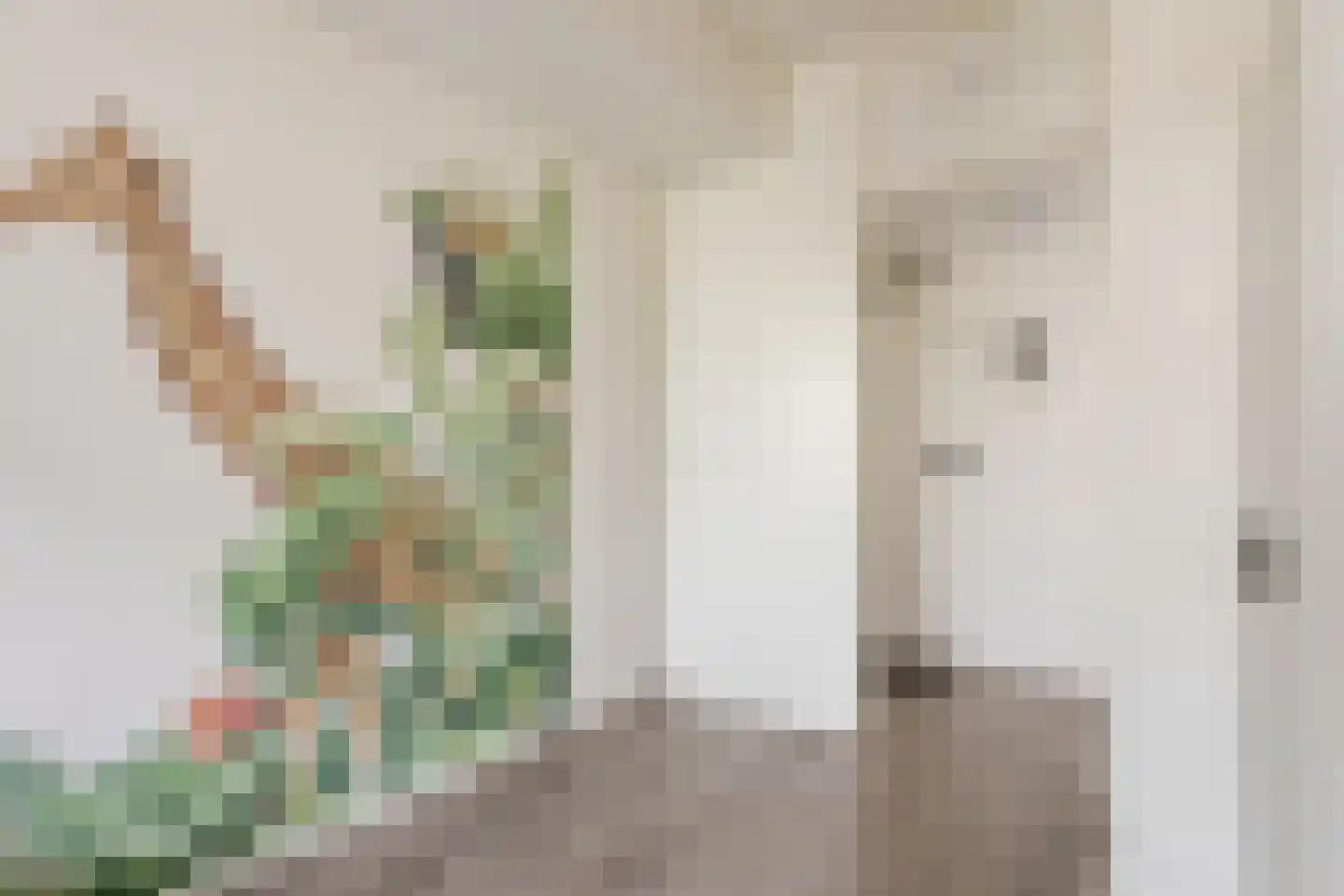 Nolensstraat 20 Wageningen thumbnail 24
