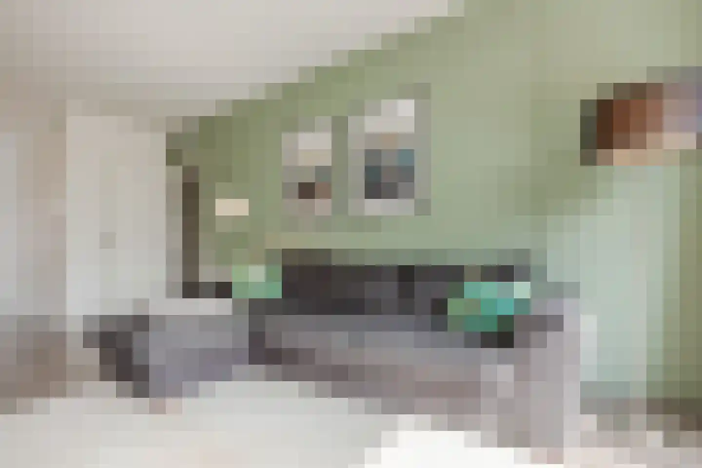 Nolensstraat 20 Wageningen thumbnail 8