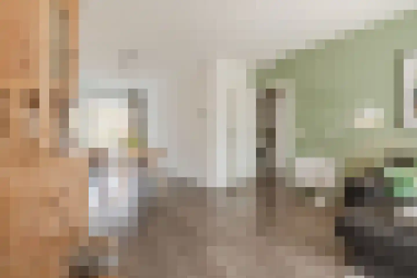 Nolensstraat 20 Wageningen thumbnail 9