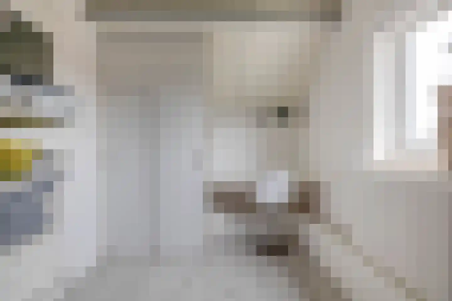 Nolensstraat 25 Naaldwijk thumbnail 37
