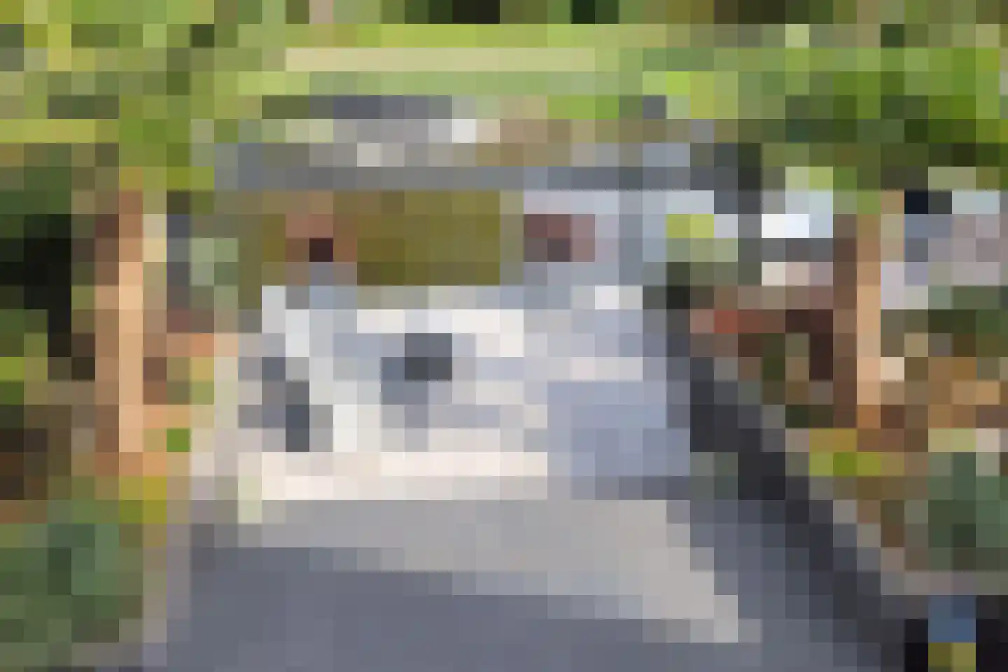 Nolensstraat 25 Naaldwijk thumbnail 55