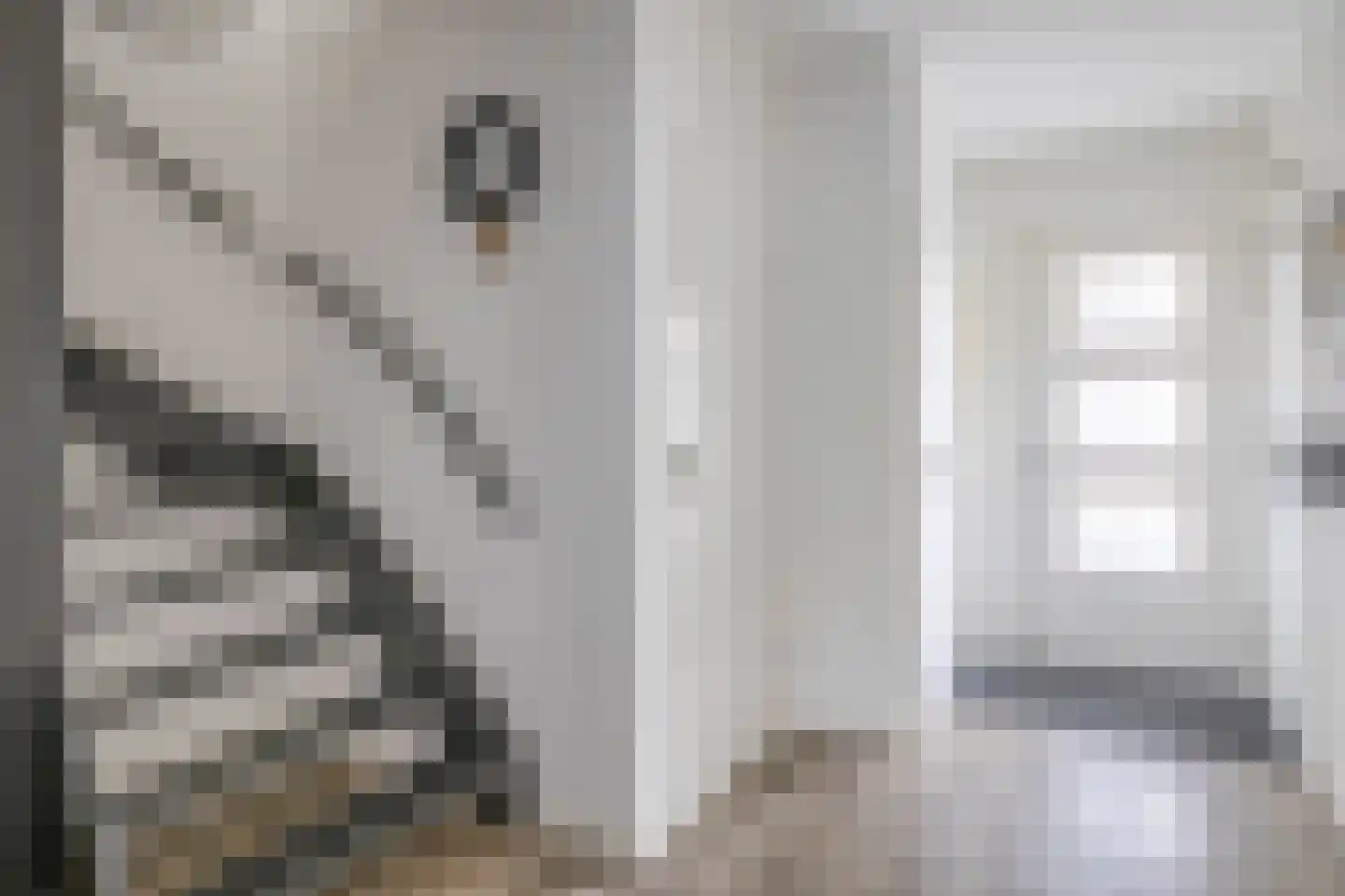 Nolensstraat 25 Naaldwijk thumbnail 7