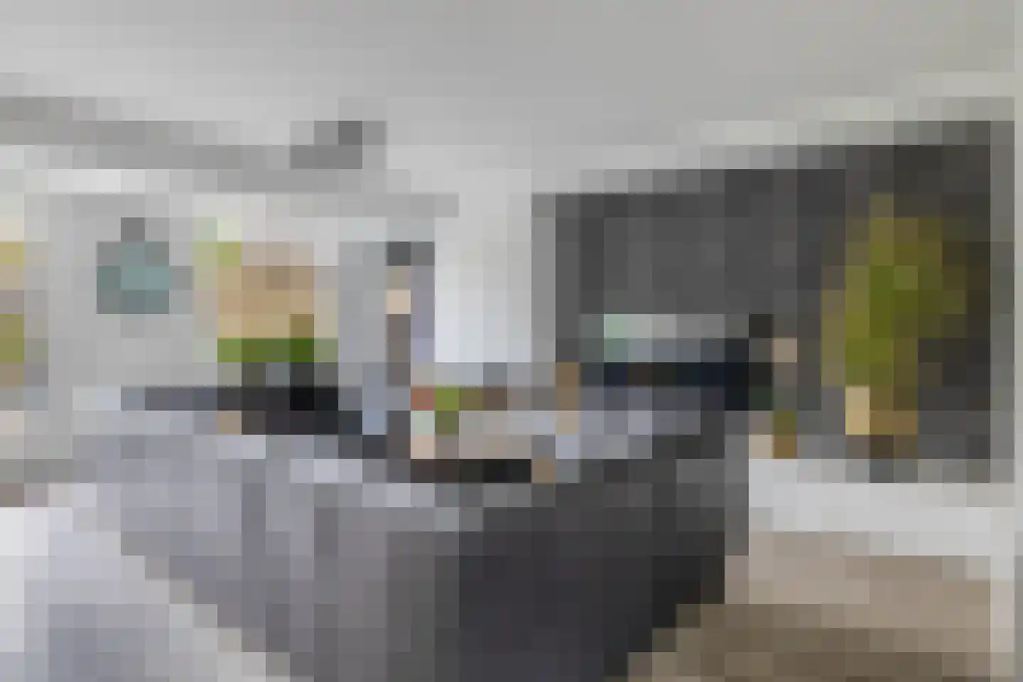 Nolensstraat 25 Naaldwijk thumbnail 9