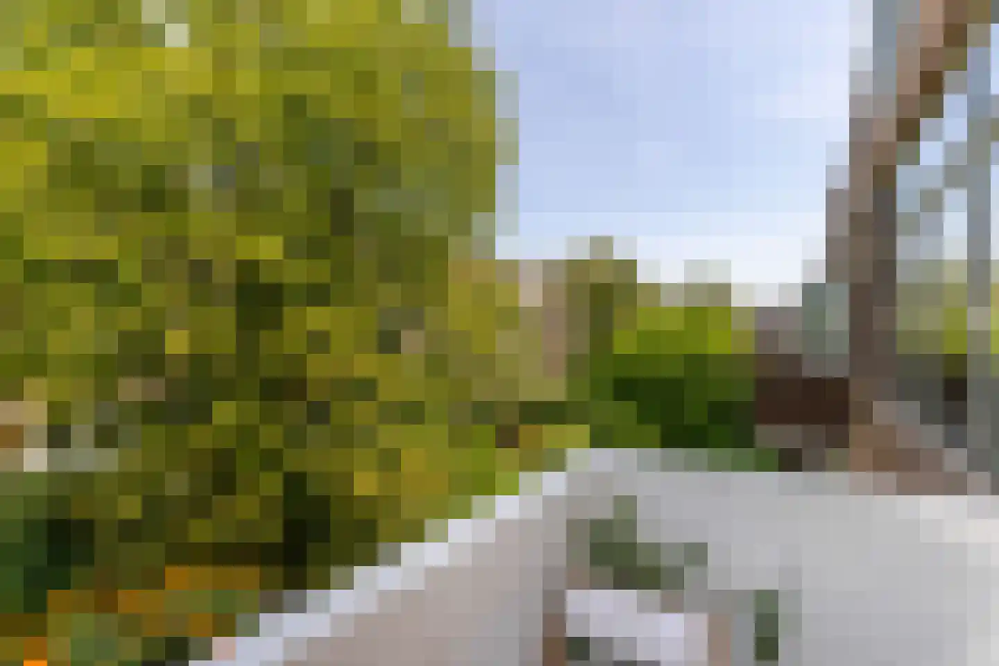 Nolensstraat 27 B 02 Rotterdam thumbnail 17