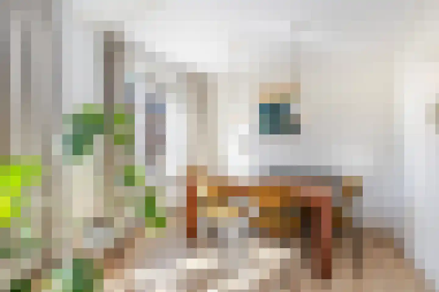 Nolensstraat 3 A Rotterdam thumbnail 13