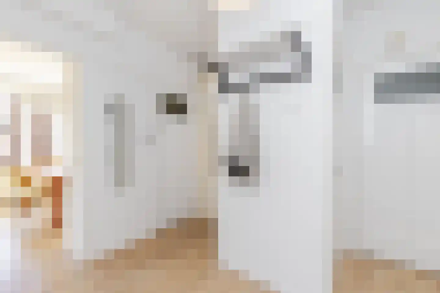 Nolensstraat 3 C Rotterdam thumbnail 6