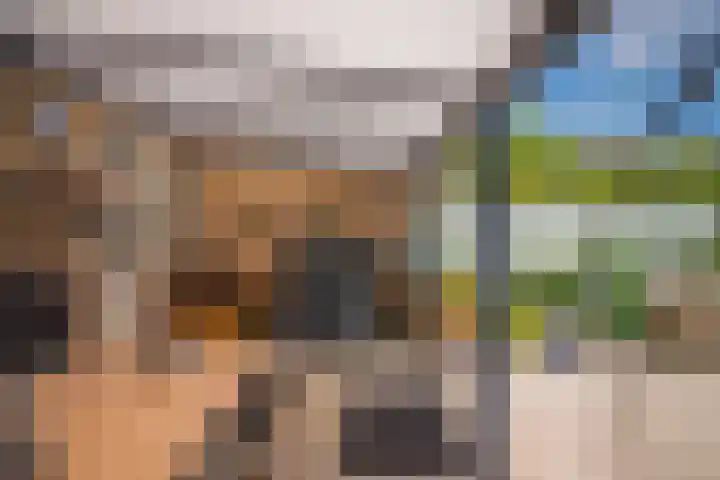 Nolensstraat 3 Tegelen thumbnail 36