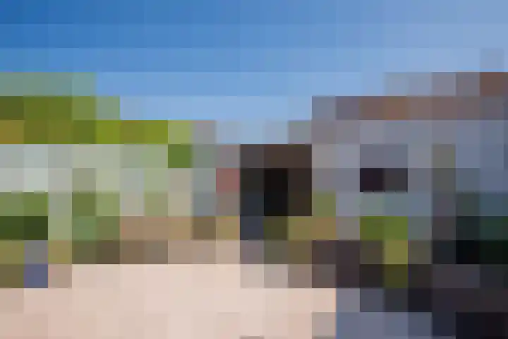 Nolensstraat 3 Tegelen thumbnail 38