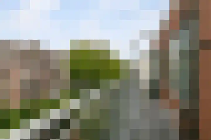 Nolensstraat 31 B 02 Rotterdam thumbnail 21