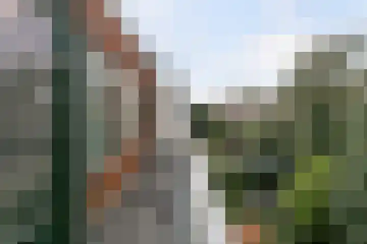 Nolensstraat 31 B 02 Rotterdam thumbnail 22