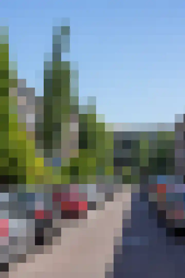 Nolensstraat 33 A Rotterdam thumbnail 37
