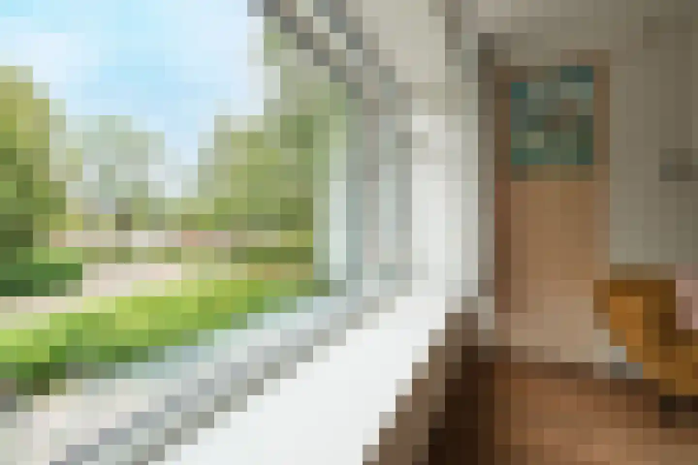Nolensstraat 34 Wageningen thumbnail 7