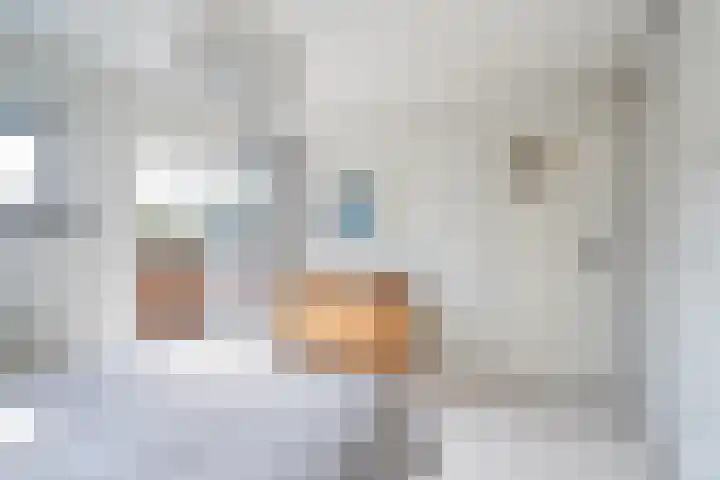 Nolensstraat 37 B 02 Rotterdam thumbnail 21