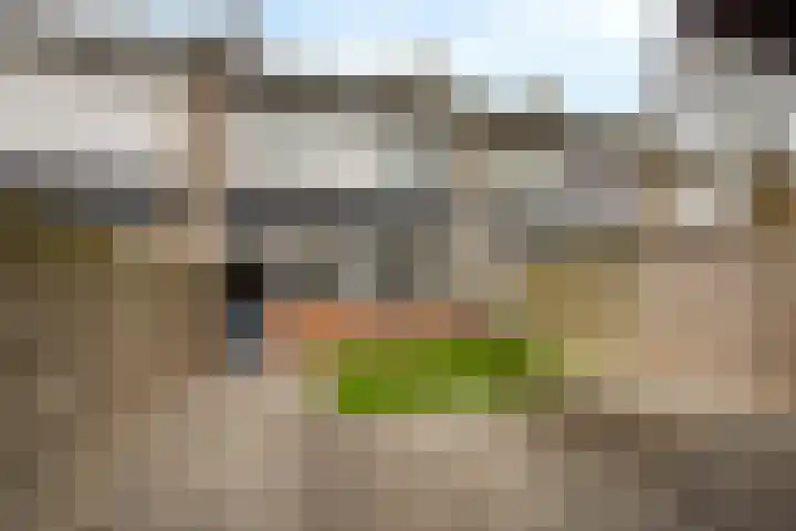 Nolensstraat 4 Ossendrecht thumbnail 30