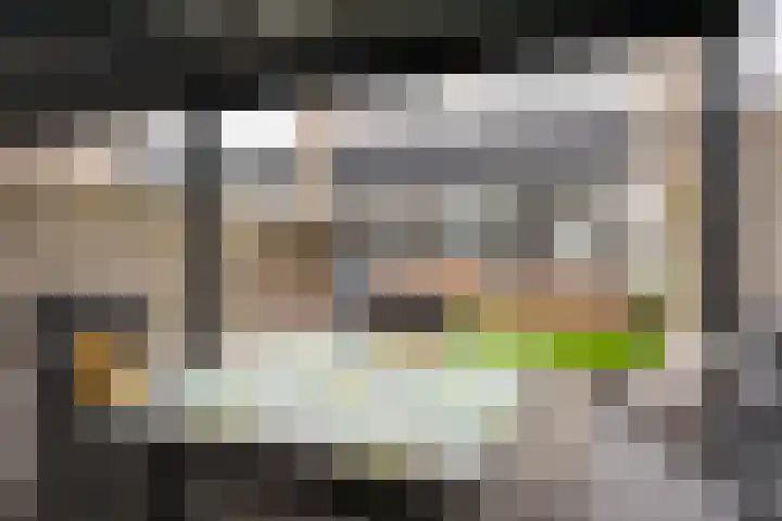 Nolensstraat 4 Ossendrecht thumbnail 33